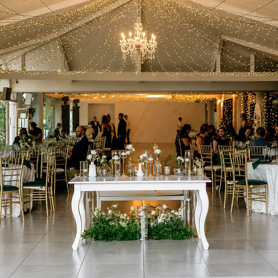 El salón de Laureal lleno de invitados, bajo la araña de cristal y el techo de luces