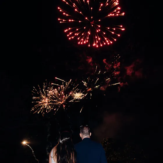 Novios de espaldas mirando los fuegos artificiales sobre los jardines